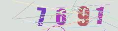 CAPTCHA validation image