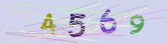 CAPTCHA validation image