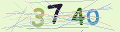CAPTCHA validation image