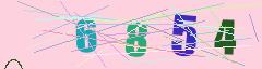 CAPTCHA validation image