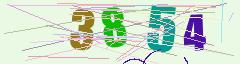 CAPTCHA validation image
