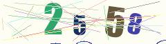 CAPTCHA validation image
