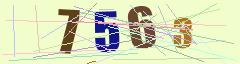 CAPTCHA validation image