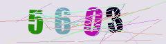 CAPTCHA validation image