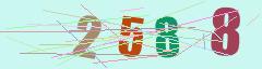 CAPTCHA validation image