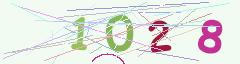 CAPTCHA validation image