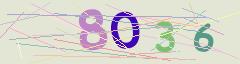 CAPTCHA validation image