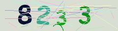 CAPTCHA validation image