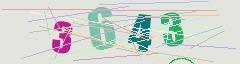 CAPTCHA validation image