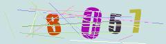 CAPTCHA validation image