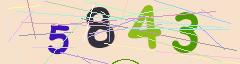 CAPTCHA validation image