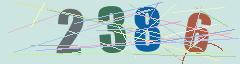 CAPTCHA validation image
