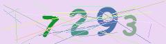 CAPTCHA validation image