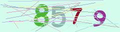 CAPTCHA validation image