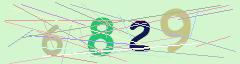 CAPTCHA validation image