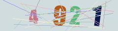 CAPTCHA validation image