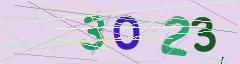 CAPTCHA validation image
