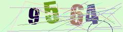 CAPTCHA validation image