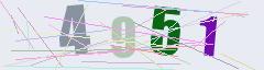 CAPTCHA validation image