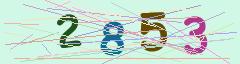 CAPTCHA validation image