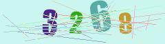 CAPTCHA validation image