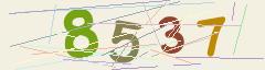 CAPTCHA validation image