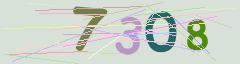 CAPTCHA validation image