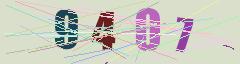 CAPTCHA validation image