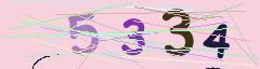CAPTCHA validation image