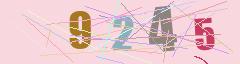 CAPTCHA validation image