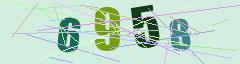 CAPTCHA validation image