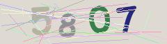CAPTCHA validation image