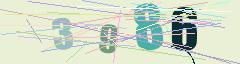 CAPTCHA validation image