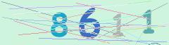 CAPTCHA validation image