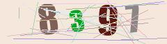 CAPTCHA validation image