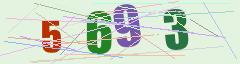 CAPTCHA validation image