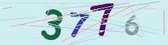 CAPTCHA validation image