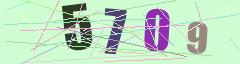 CAPTCHA validation image