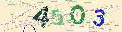 CAPTCHA validation image