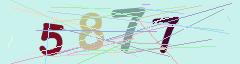 CAPTCHA validation image