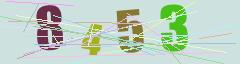 CAPTCHA validation image