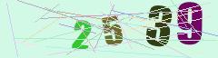 CAPTCHA validation image