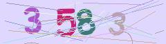 CAPTCHA validation image