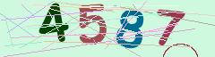 CAPTCHA validation image