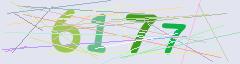 CAPTCHA validation image