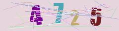 CAPTCHA validation image