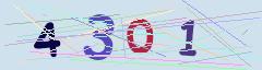 CAPTCHA validation image