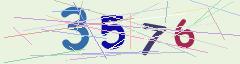 CAPTCHA validation image