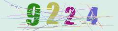CAPTCHA validation image