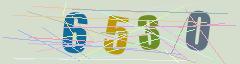 CAPTCHA validation image